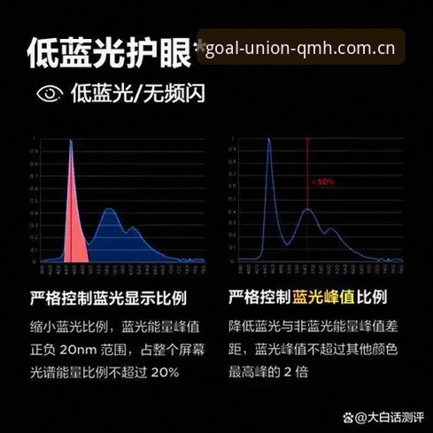 球盟会2026版本官方下载全面解析：功能升级与用户体验详解